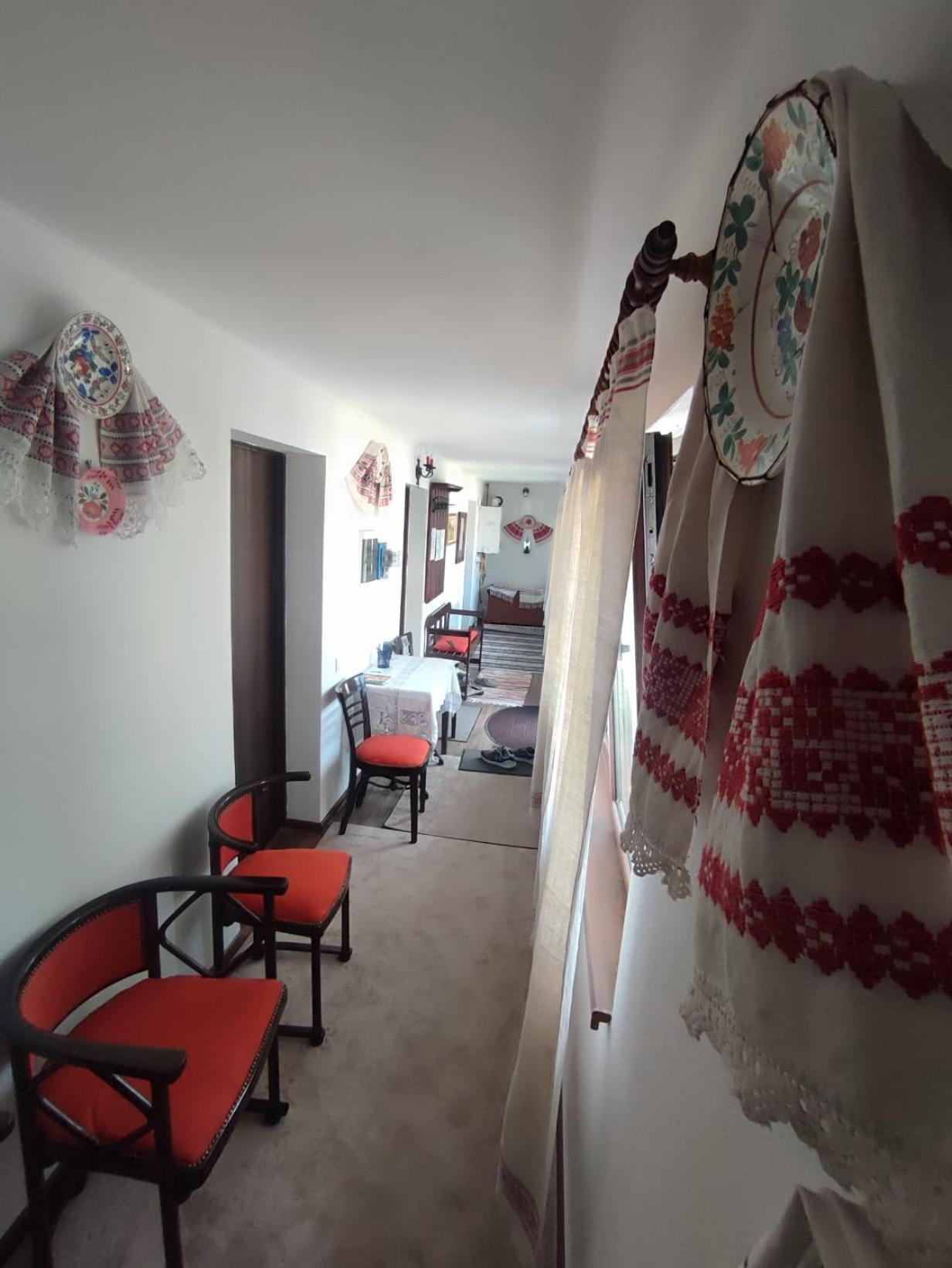 Courtyard Studio أرادايا المظهر الخارجي الصورة