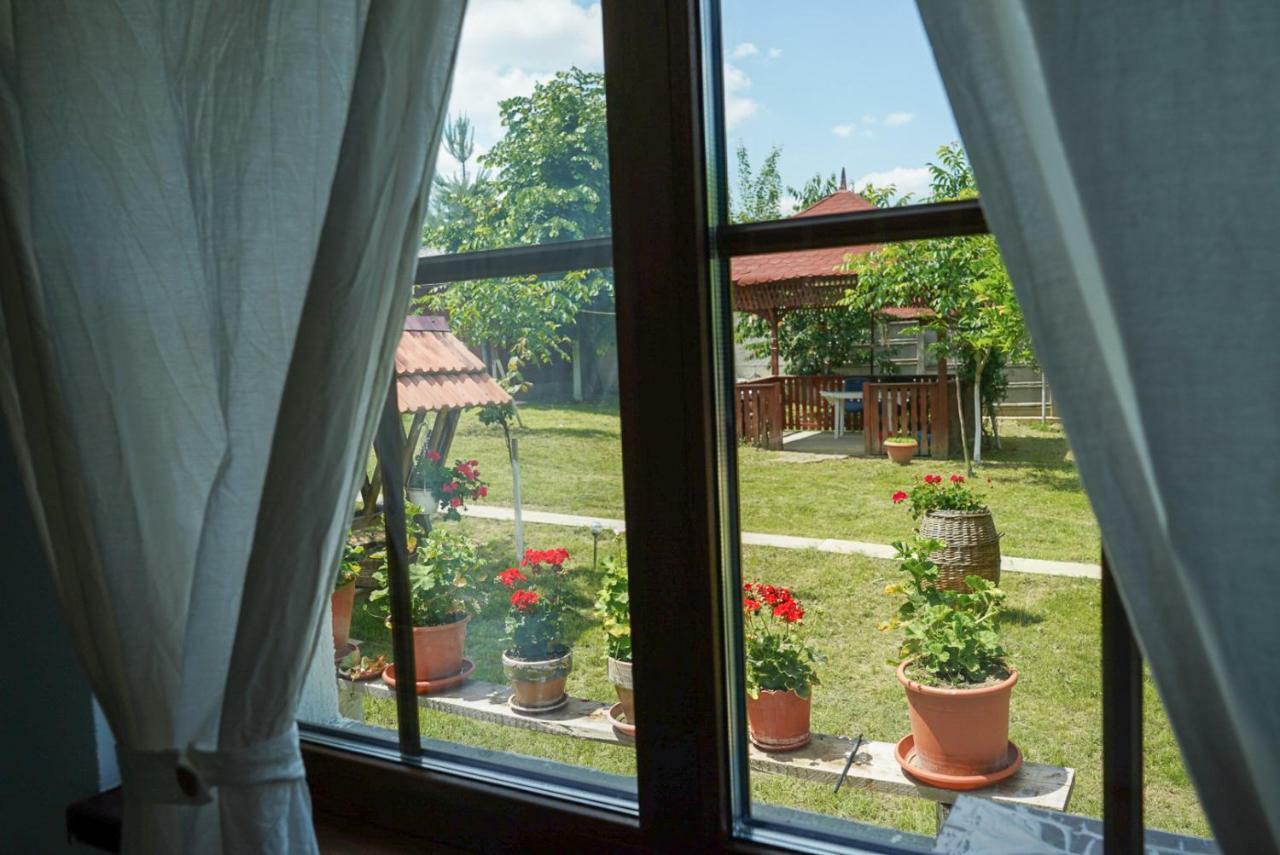 Courtyard Studio أرادايا المظهر الخارجي الصورة